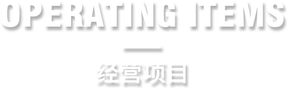 经营项目